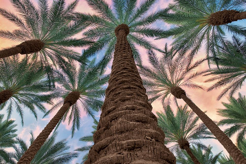 Tropical Views Poster Print by Dennis Frates - Item # VARPDXPOD60673