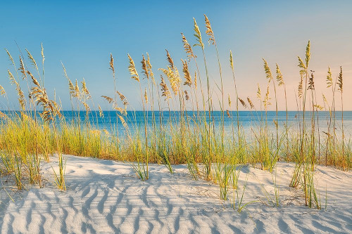 I Love the Beach Poster Print by Dennis Frates - Item # VARPDXPOD60676