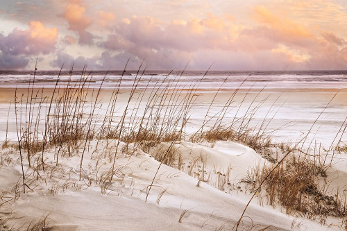 Whispers In the Dunes Poster Print by Celebrate Life Gallery Celebrate Life Gallery - Item # VARPDXPOD60739 Whispers In the Dunes Poster Print by Celebrate Life Gallery Celebrate Life Gallery - Item # VARPDXPOD60739
