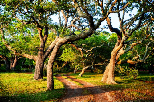 Lenoxville Point I Poster Print by Alan Hausenflock - Item # VARPDXPSHSF2358