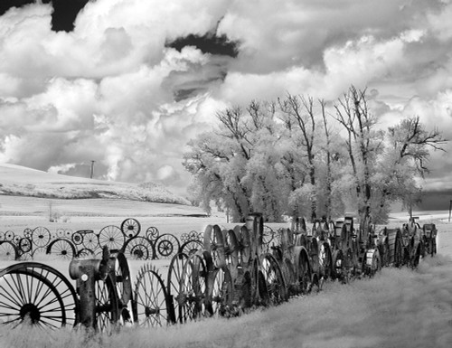 Wheel Fence the Palouse Poster Print by George Johnson - Item # VARPDXPSJSN310