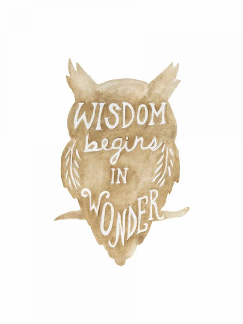 Wonder Begins Poster Print by Pam Varacek - Item # VARPDXPVRC078A
