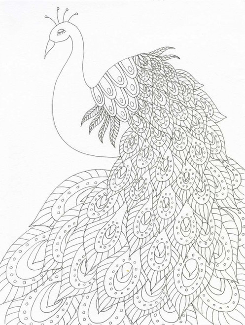 Peacock Queen Poster Print by Pam Varacek - Item # VARPDXPVRC081A