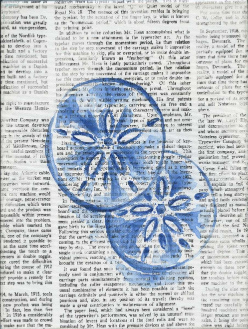 Written Sand Dollars Poster Print by Pam Varacek - Item # VARPDXPVRC089C