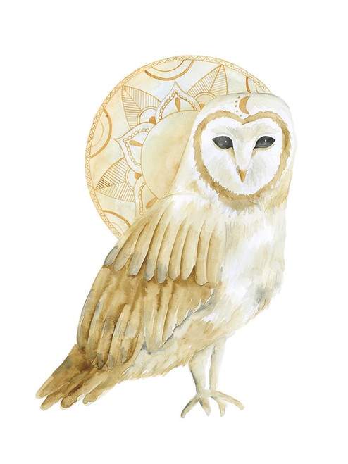 Night Dreams Poster Print by Pam Varacek - Item # VARPDXPVRC129A