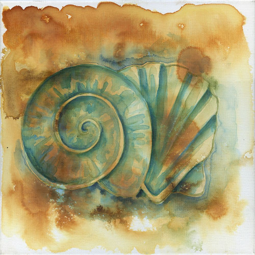 Muddy Shells Poster Print by Pam Varacek - Item # VARPDXPVSQ040A