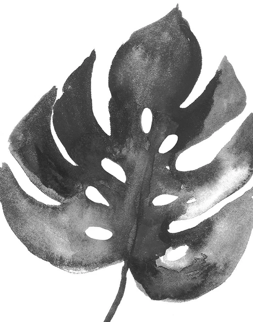 BW Palm II Poster Print by PI Studio PI Studio - Item # VARPDXPX212A