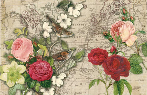 Atlas Bird Garden Poster Print by Candace Allen - Item # VARPDXQCARC016