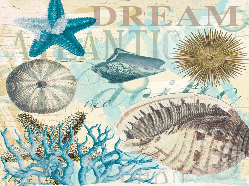Dream Shells R1 Poster Print by Candace Allen - Item # VARPDXQCARC044B