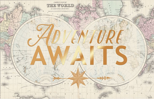 Adventure Floral Excursion Poster Print by Candace Allen - Item # VARPDXQCARC050A