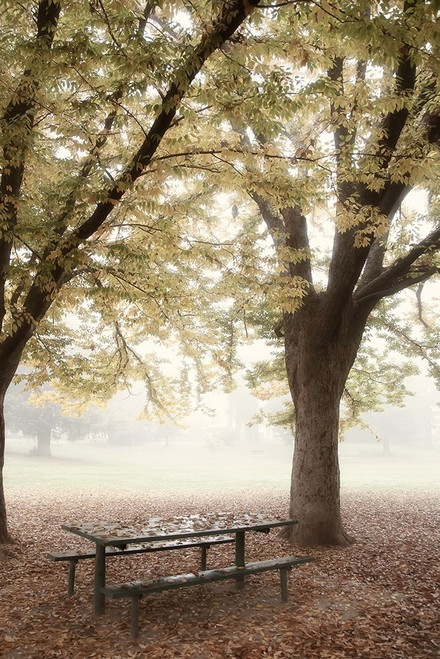 Park 4 Poster Print by Dianne Poinski - Item # VARPDXQPDRC028