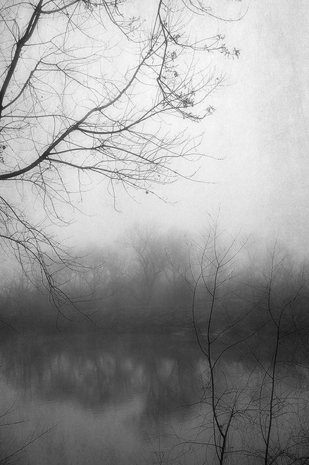 Misty Pond 2 BW Poster Print by Dianne Poinski - Item # VARPDXQPDRC7402A