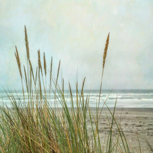 North Coast Dunes 2 Poster Print by Dianne Poinski - Item # VARPDXQPDSQ036B