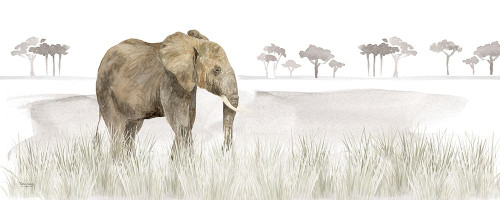 Serengeti Elephant horizontal panel Poster Print by Tara Reed - Item # VARPDXRB13499TR