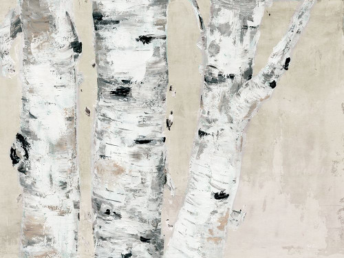 Birch Tree Close Up Neutral Poster Print by Marie Elaine Cusson - Item # VARPDXRB13520MC