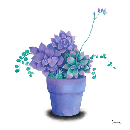 Turquoise Succulents II Poster Print by Bannarot Bannarot - Item # VARPDXRB13652BN