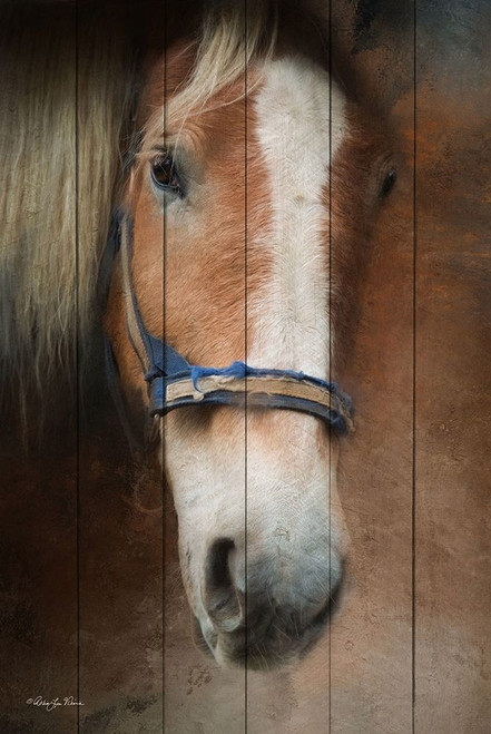 Blaze Poster Print by Robin-Lee Vieira - Item # VARPDXRLV628