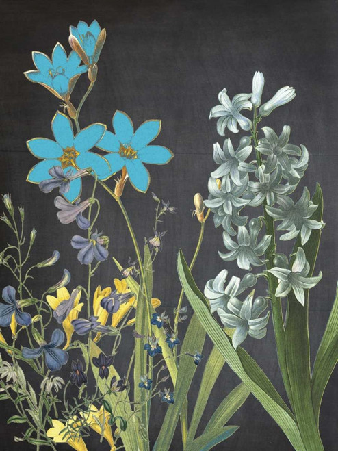 Fresh Meadow Bloom Poster Print by Sheldon Lewis