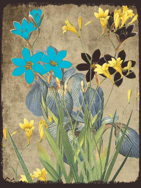 Meadow Bloom Poster Print by Sheldon Lewis - Item # VARPDXSLBRC278B