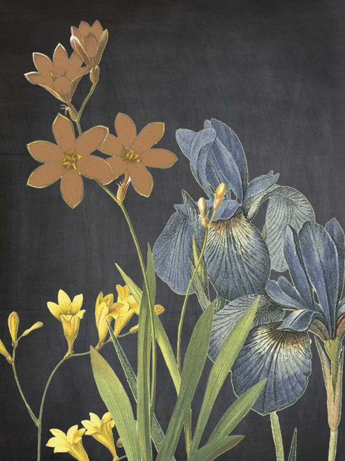 Meadow Bloom Poster Print by Sheldon Lewis - Item # VARPDXSLBRC278B1