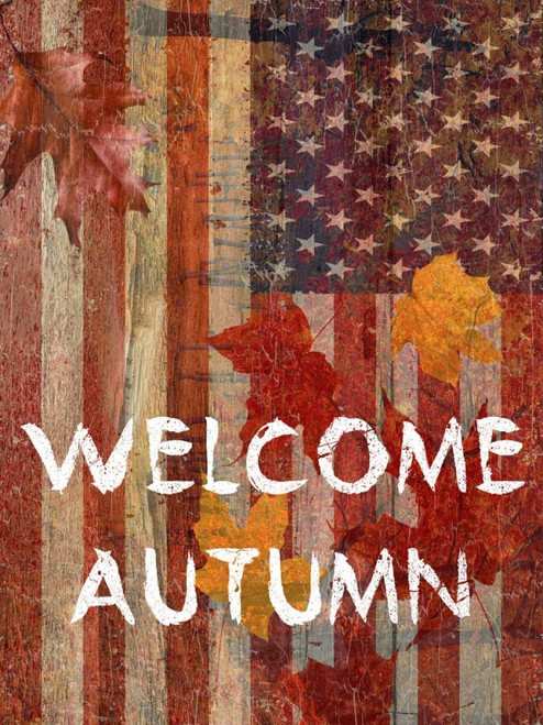 Fall Time USA Poster Print by Sheldon Lewis - Item # VARPDXSLBRC359A