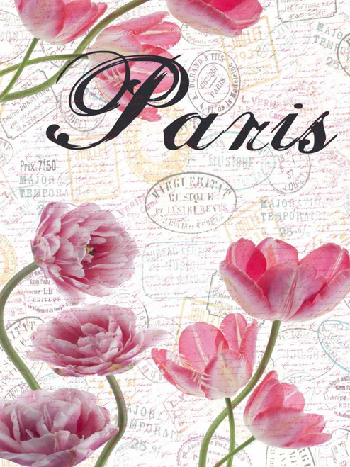 All Things Paris 5 Poster Print by Sheldon Lewis - Item # VARPDXSLBRC369G