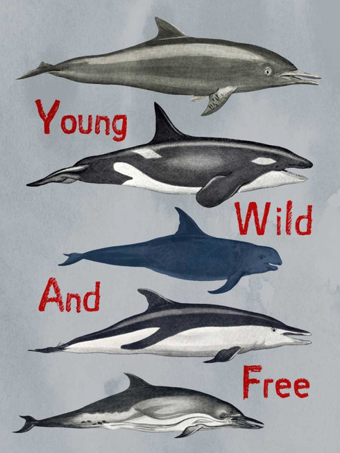 Young Wild And Free Poster Print by Sheldon Lewis - Item # VARPDXSLBRC417A