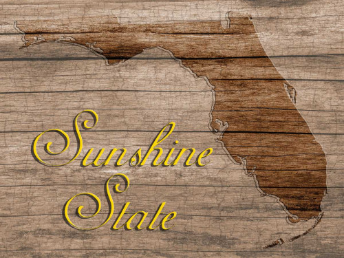 Sunshine State Poster Print by Sheldon Lewis - Item # VARPDXSLBRC429A