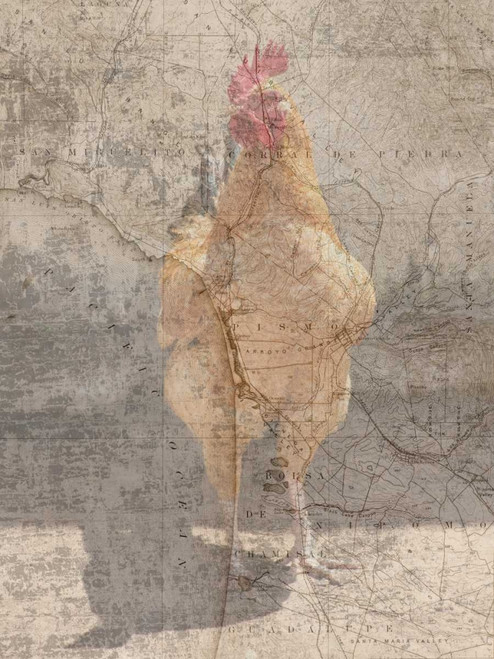 Traveling Rooster Poster Print by Sheldon Lewis - Item # VARPDXSLBRC432A