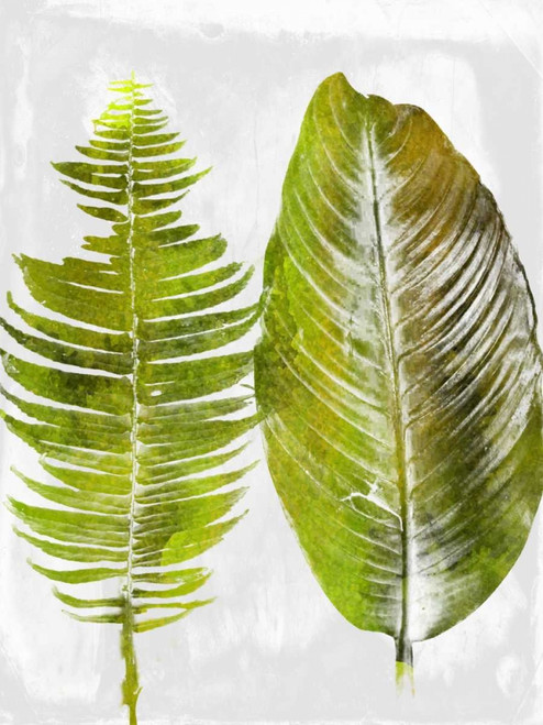 Tropic Spring 1 Poster Print by Sheldon Lewis - Item # VARPDXSLBRC461B