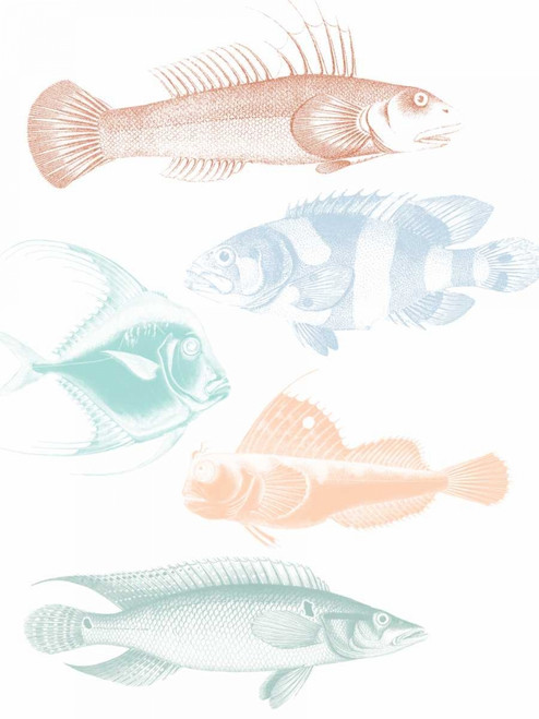 Deep Sea Adventure Poster Print by Sheldon Lewis - Item # VARPDXSLBRC482A