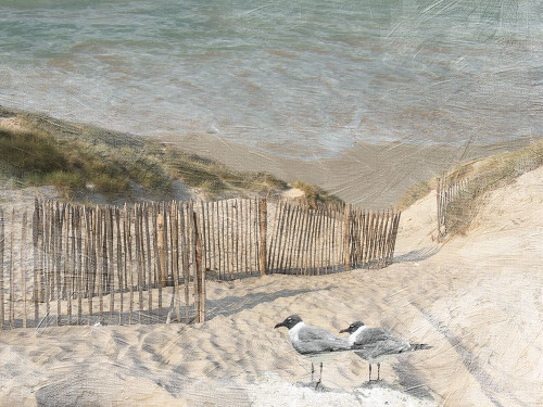 Grenville Bay 1 Poster Print by Sheldon Lewis - Item # VARPDXSLBRC578A