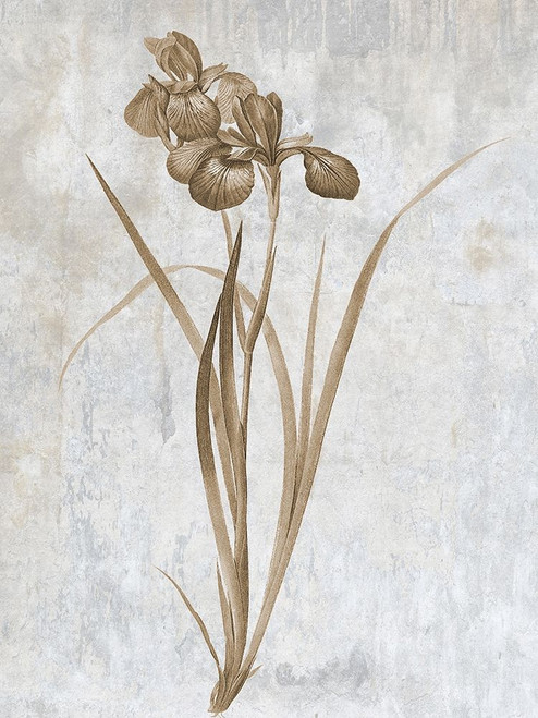 Earth Balance 2 Poster Print by Sheldon Lewis - Item # VARPDXSLBRC640B