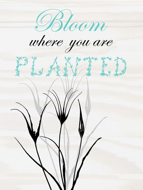 Bloom Poster Print by Sheldon Lewis - Item # VARPDXSLBRC653B