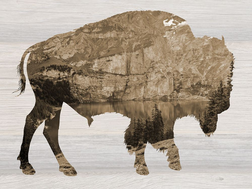 Western Mountain Poster Print by Sheldon Lewis - Item # VARPDXSLBRC732A