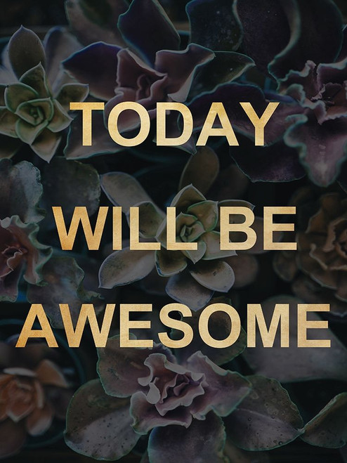 Awesome Floral Poster Print by Sheldon Lewis - Item # VARPDXSLBRC742A