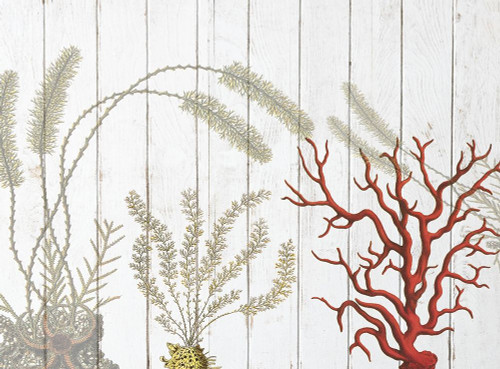 Cosatl Down Under Poster Print by Sheldon Lewis - Item # VARPDXSLBRC778A