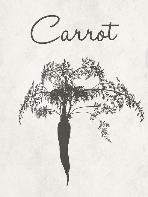 Carrot Farm Botanical Poster Print by Sheldon Lewis - Item # VARPDXSLBRC860A
