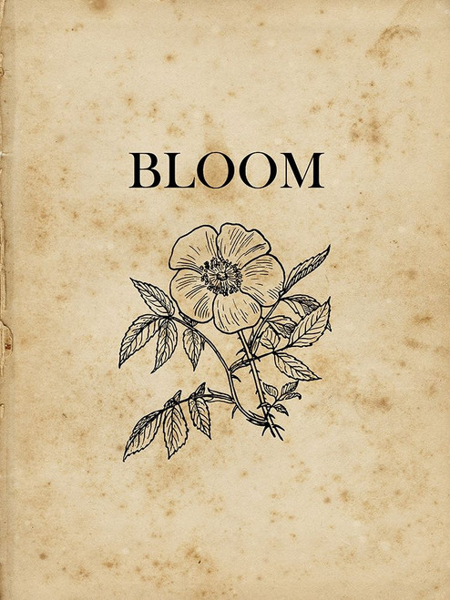 Bloom Poster Print by Sheldon Lewis - Item # VARPDXSLBRC867B