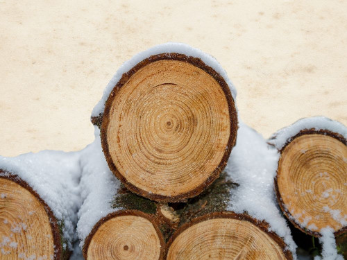 Lumberjack Poster Print by Sheldon Lewis - Item # VARPDXSLBRC868A