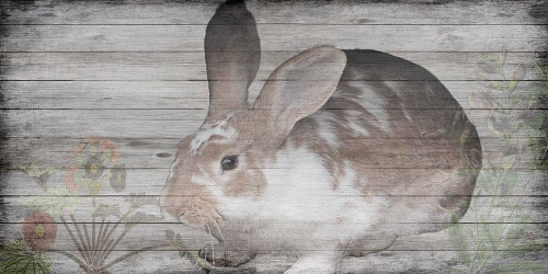 Hello Peter Poster Print by Sheldon Lewis - Item # VARPDXSLBRN073A