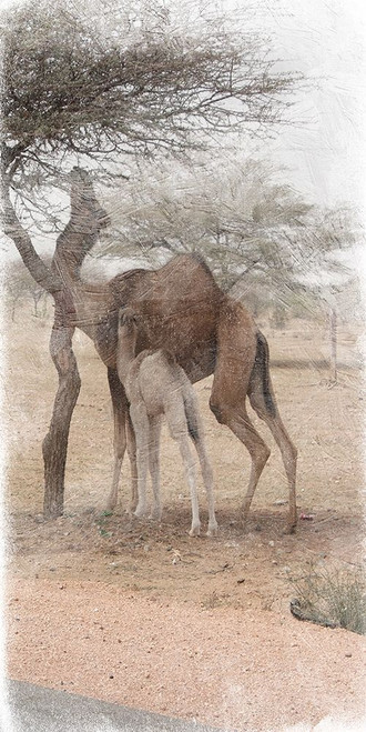 Family Dinner 2 Poster Print by Sheldon Lewis - Item # VARPDXSLBRN089A