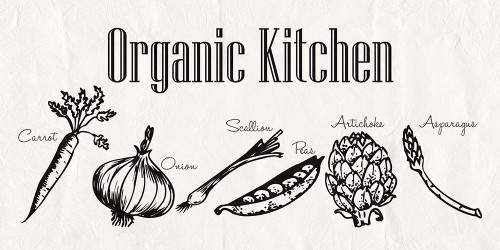 Organic Kitchen Poster Print by Sheldon Lewis - Item # VARPDXSLBRN103A