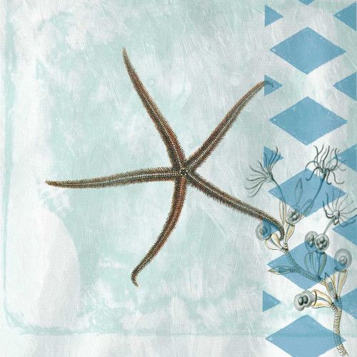 Tranquility 2 Poster Print by Sheldon Lewis - Item # VARPDXSLBSQ162D2