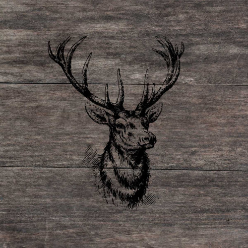 Another Buck Poster Print by Sheldon Lewis - Item # VARPDXSLBSQ259B