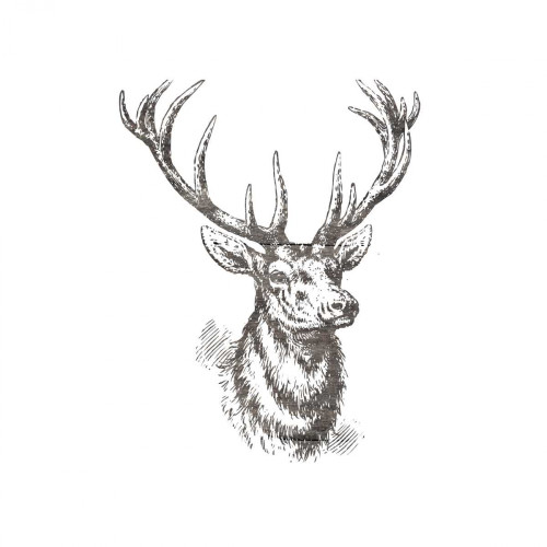 Big Buck 2 Poster Print by Sheldon Lewis - Item # VARPDXSLBSQ259B1