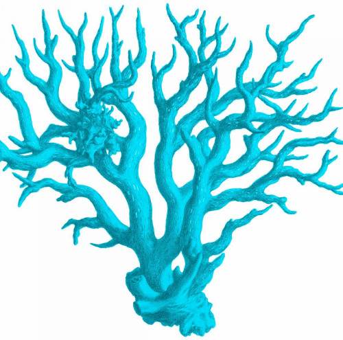 Blue Coral 3 Poster Print by Sheldon Lewis - Item # VARPDXSLBSQ260C