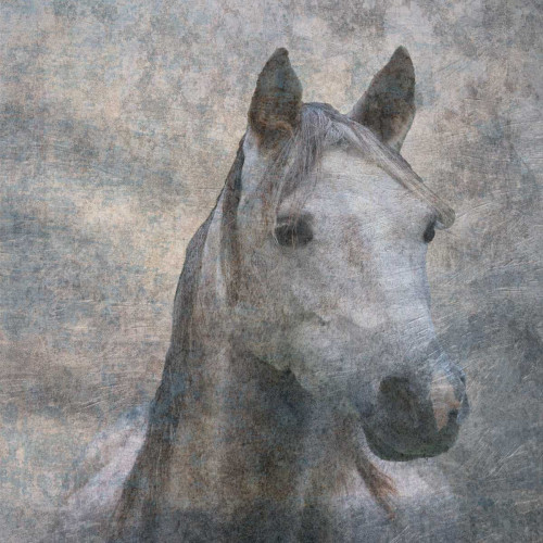 Wild River Poster Print by Sheldon Lewis - Item # VARPDXSLBSQ266B