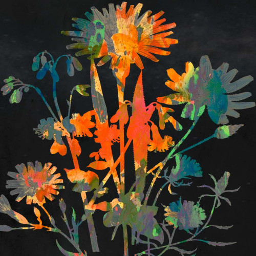 Bright Garden 1 Poster Print by Sheldon Lewis - Item # VARPDXSLBSQ306A