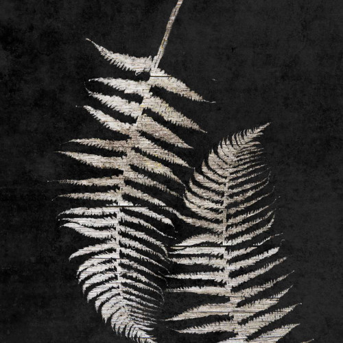 Leaf In The Moment 1 Poster Print by Sheldon Lewis - Item # VARPDXSLBSQ333C